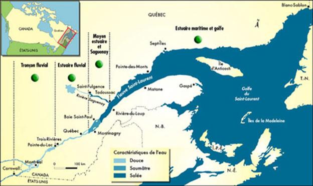 Carte tronconssl petit 1